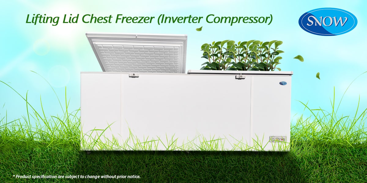 Glass Lid Freezer
